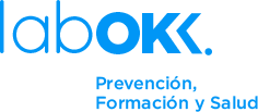 Logotipo de Autoescuela San Nicolás - Labok